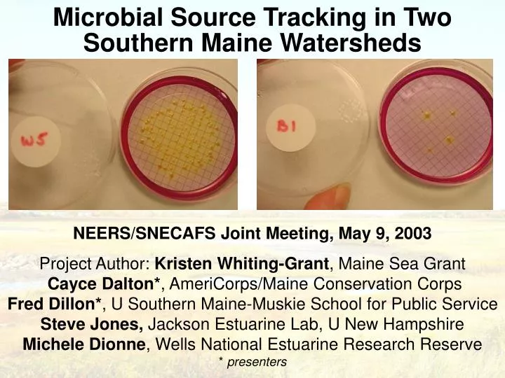 microbial source tracking in two southern maine watersheds