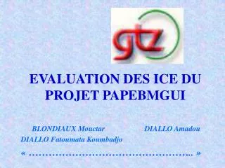 EVALUATION DES ICE DU PROJET PAPEBMGUI