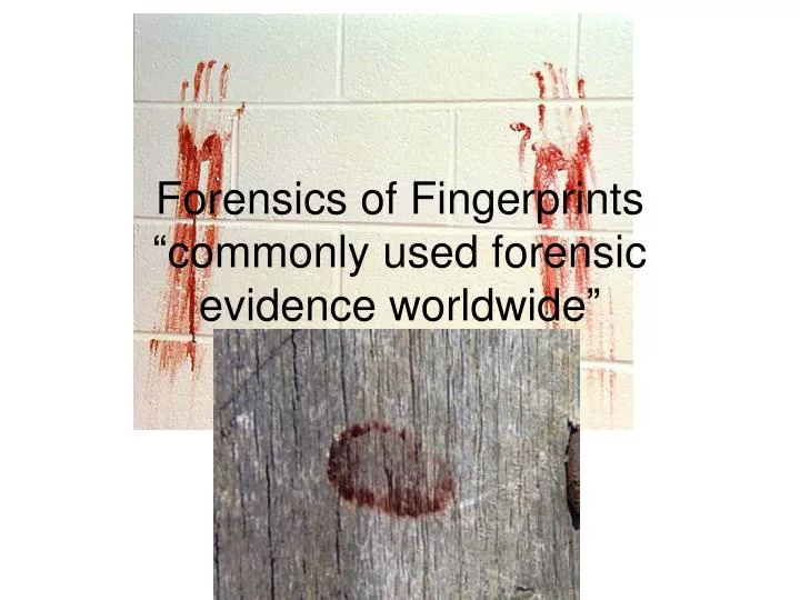 forensics of fingerprints commonly used forensic evidence worldwide