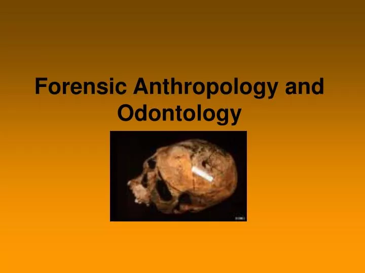 forensic anthropology and odontology