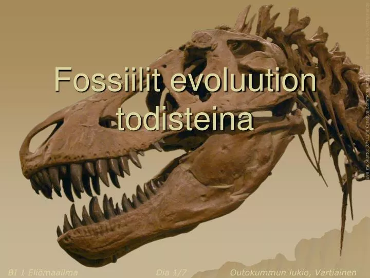 fossiilit evoluution todisteina