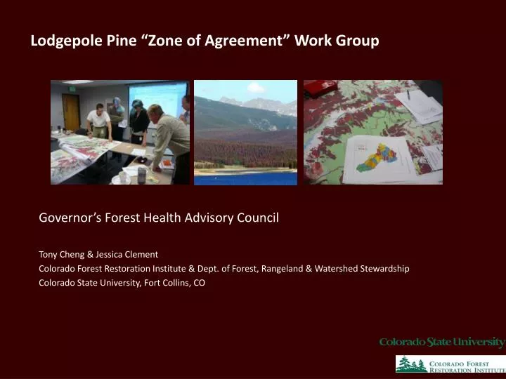 lodgepole pine zone of agreement work group