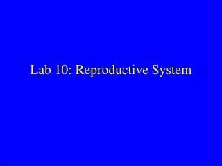 Lab 10: Reproductive System
