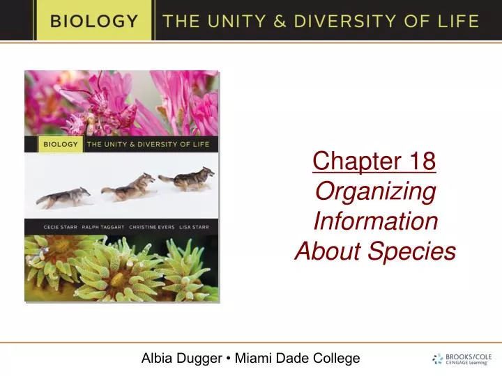 chapter 18 organizing information about species
