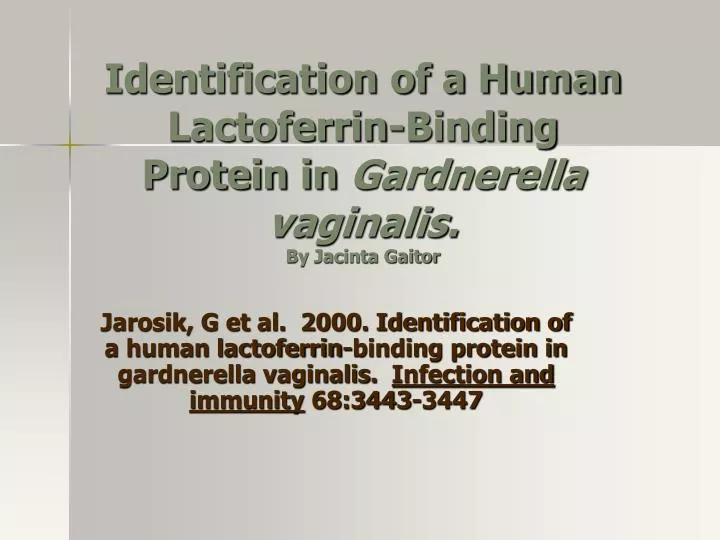 identification of a human lactoferrin binding protein in gardnerella vaginalis by jacinta gaitor