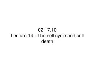 02.17.10 Lecture 14 - The cell cycle and cell death