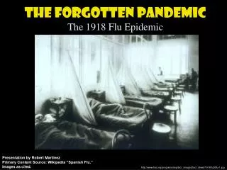 The Forgotten Pandemic The 1918 Flu Epidemic