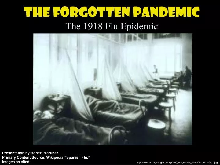 the forgotten pandemic the 1918 flu epidemic