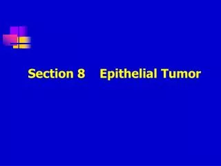 Section 8 Epithelial Tumor