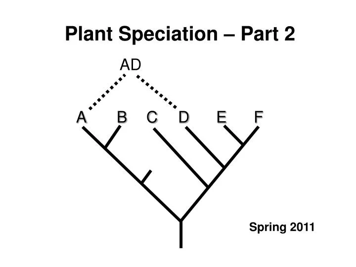 plant speciation part 2