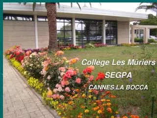 Collège Les Mûriers SEGPA CANNES LA BOCCA