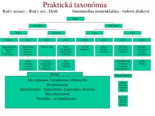 praktick taxon mia