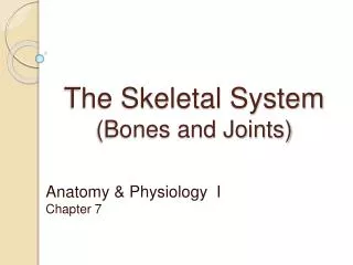 The Skeletal System (Bones and Joints)