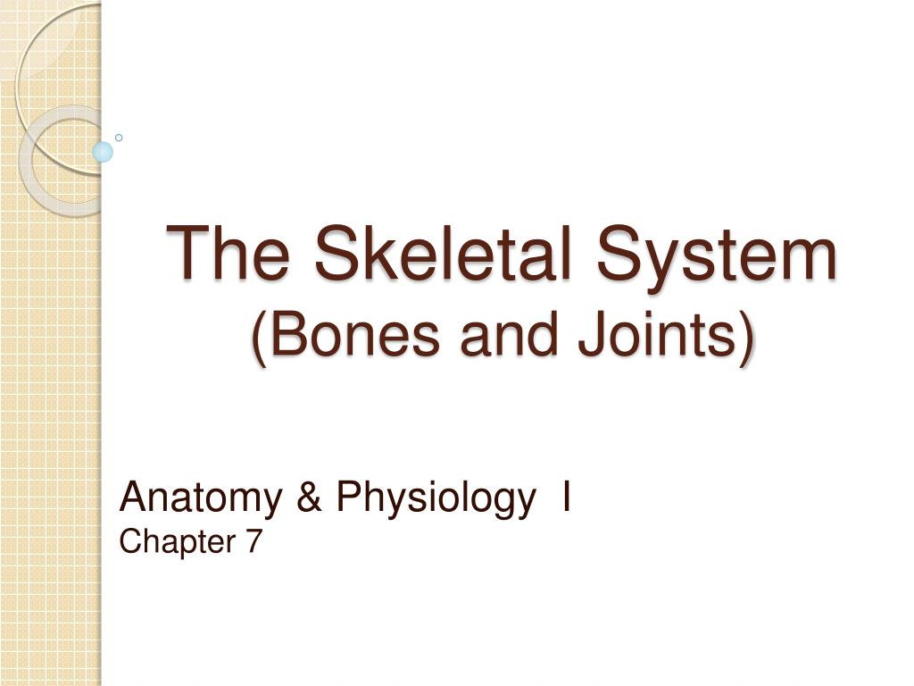 PPT - The Skeletal System (Bones and Joints) PowerPoint Presentation ...