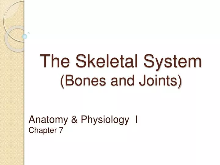 the skeletal system bones and joints