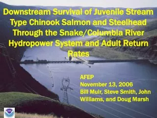 Downstream Survival of Juvenile Stream Type Chinook Salmon and Steelhead Through the Snake/Columbia River Hydropower Sys
