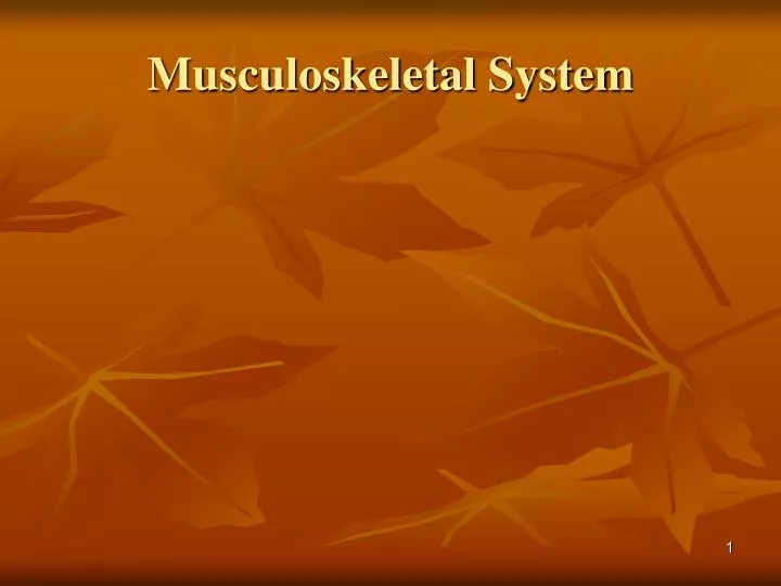 musculoskeletal system