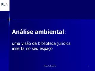an lise ambiental