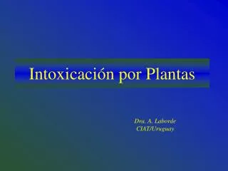 intoxicaci n por plantas
