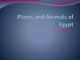 Plants and Animals of Egypt