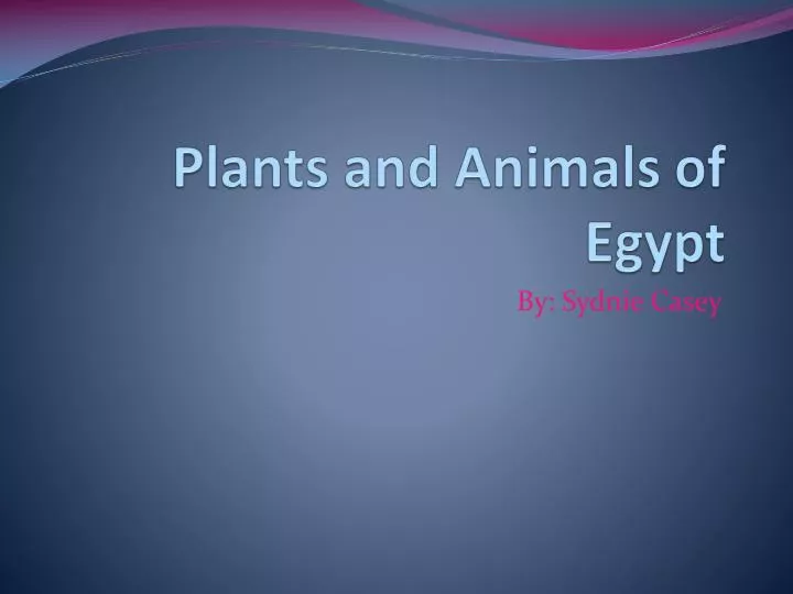 plants and animals of egypt