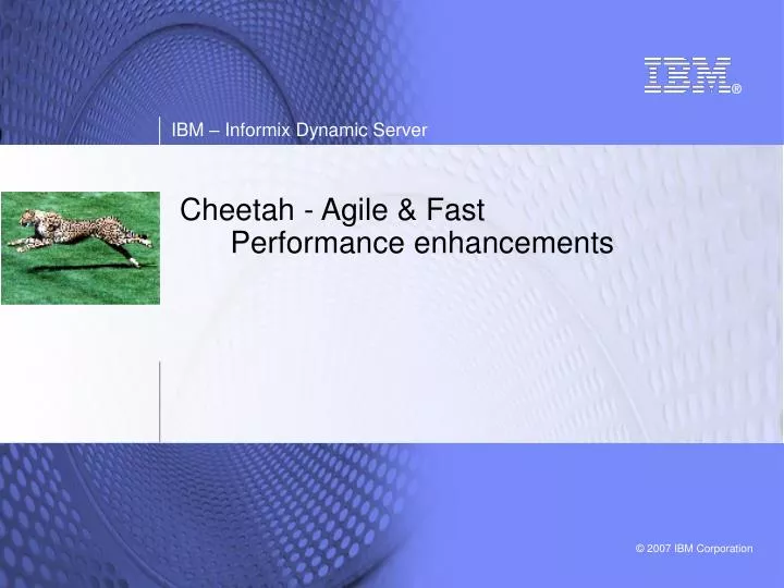 cheetah agile fast performance enhancements