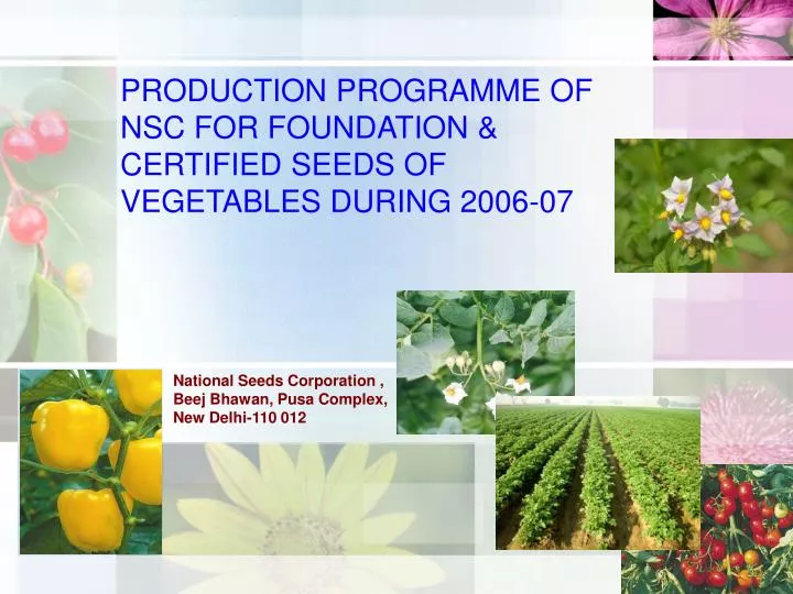 production programme of nsc for foundation certified seeds of vegetables during 2006 07