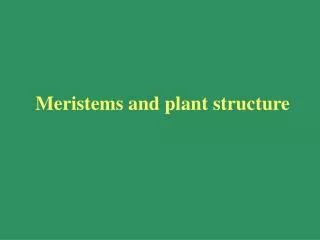 Meristems and plant structure