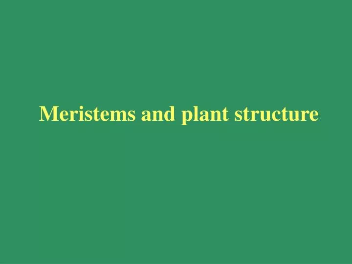 meristems and plant structure