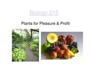 Biology 215