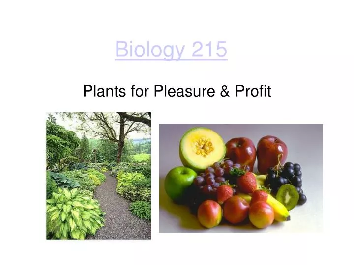 biology 215