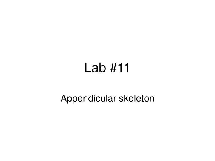 lab 11