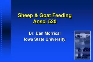 Sheep &amp; Goat Feeding Ansci 520