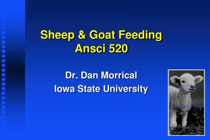 sheep goat feeding ansci 520