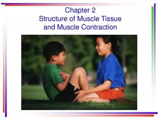 Chapter 2 Structure of Muscle Tissue and Muscle Contraction