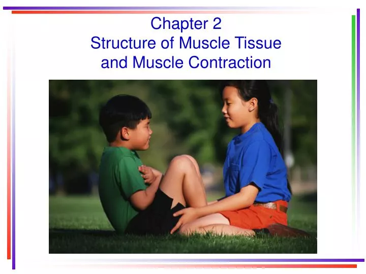 chapter 2 structure of muscle tissue and muscle contraction