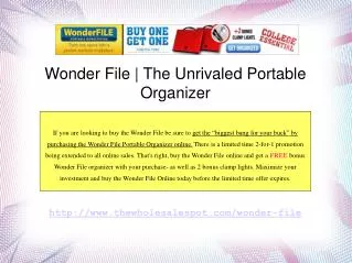 Wonder File Portable Workstation