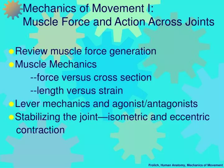 mechanics of movement i muscle force and action across joints