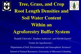 Tree, Grass, and Crop Root Length Densities and Soil Water Content Within an Agroforestry Buffer System