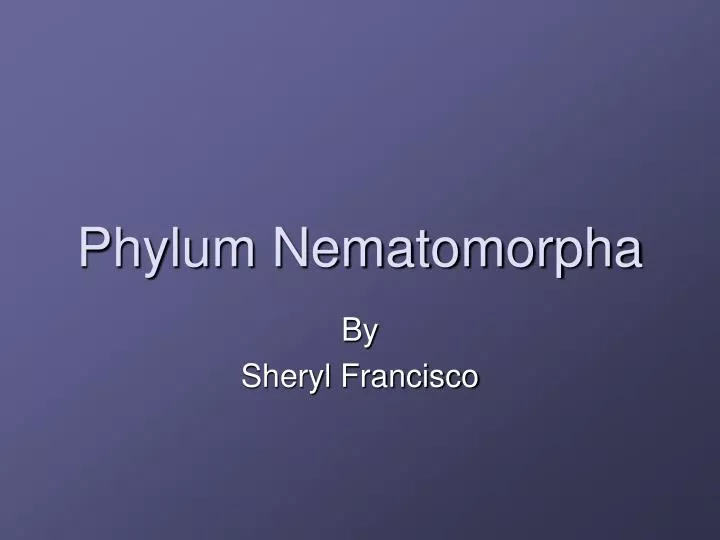 phylum nematomorpha