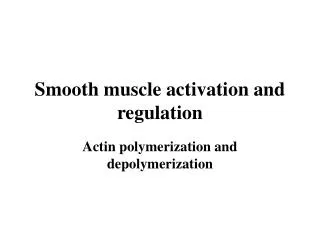 Smooth muscle activation and regulation