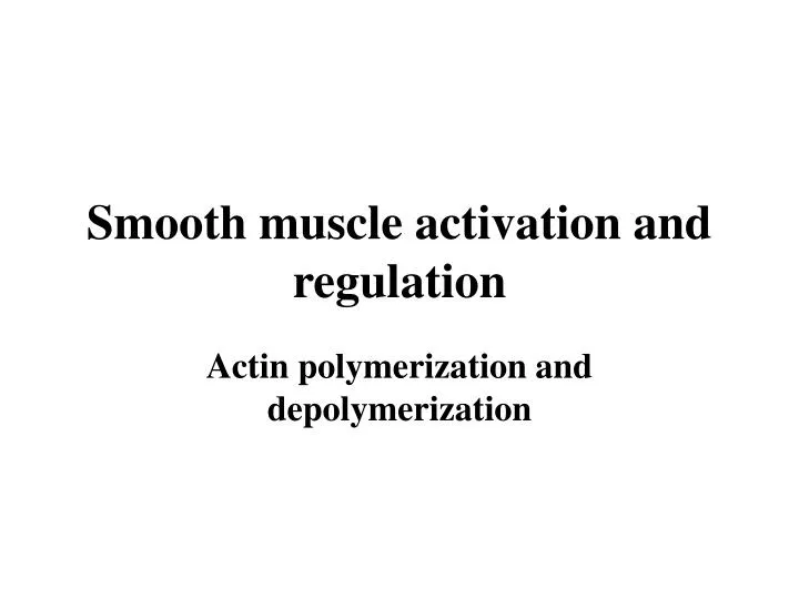 smooth muscle activation and regulation