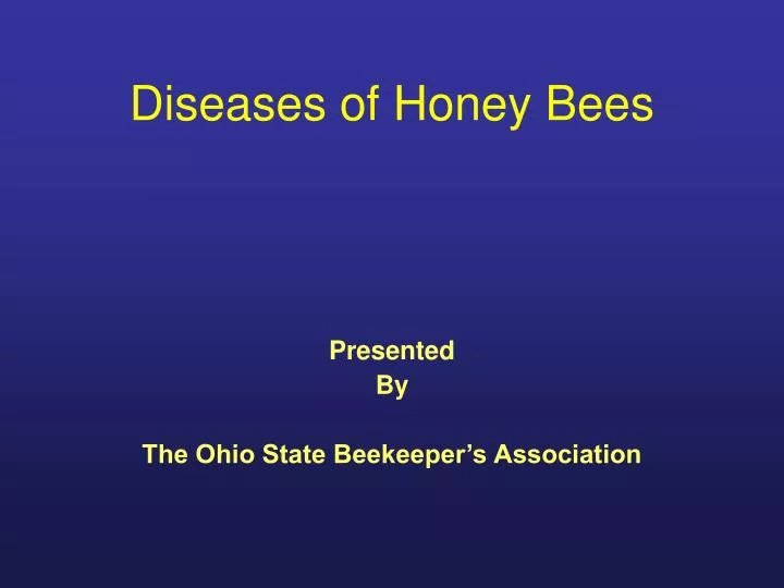 diseases of honey bees