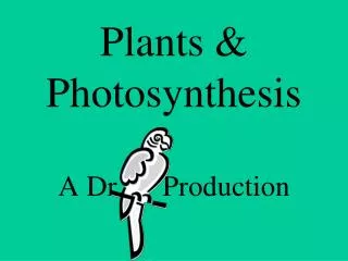 Plants &amp; Photosynthesis A Dr. 	Production