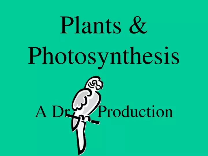 plants photosynthesis a dr production