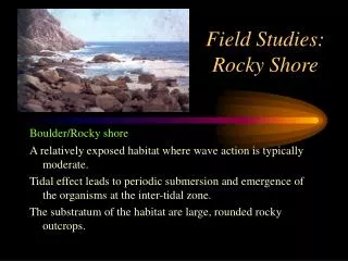 Field Studies: Rocky Shore