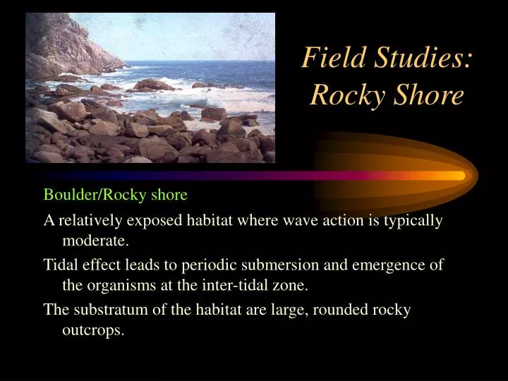 field studies rocky shore