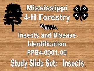 Mississippi 4-H Forestry