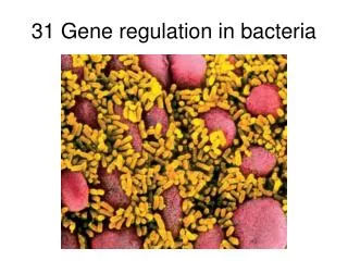 31 Gene regulation in bacteria