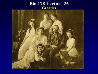 Bio 178 Lecture 25